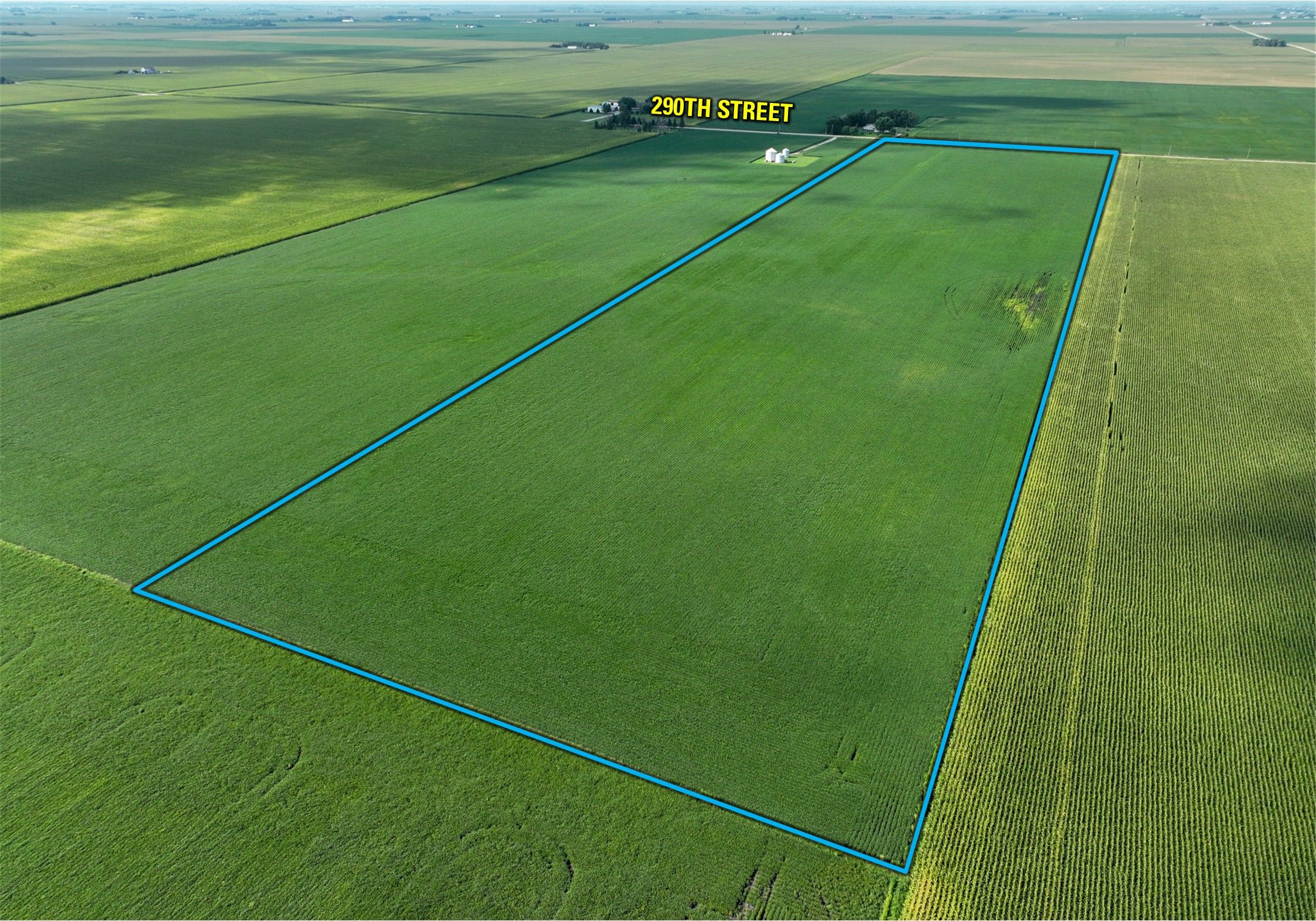 Listing Photo: Aerial 2